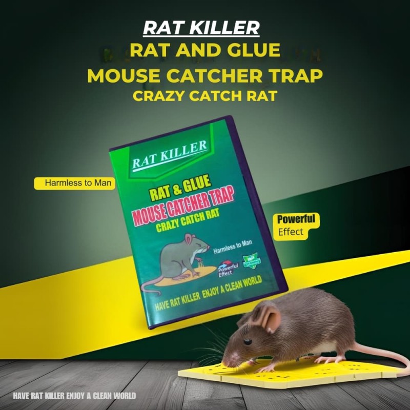 Rat and Glue Mouse Catcher Trap Rat Killer Crazy Catch Rat