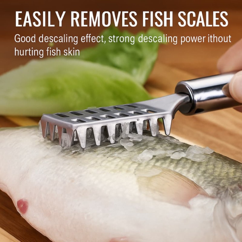Stainless Steel Fish Scaler – Easy Skin & Scale Remover Tool