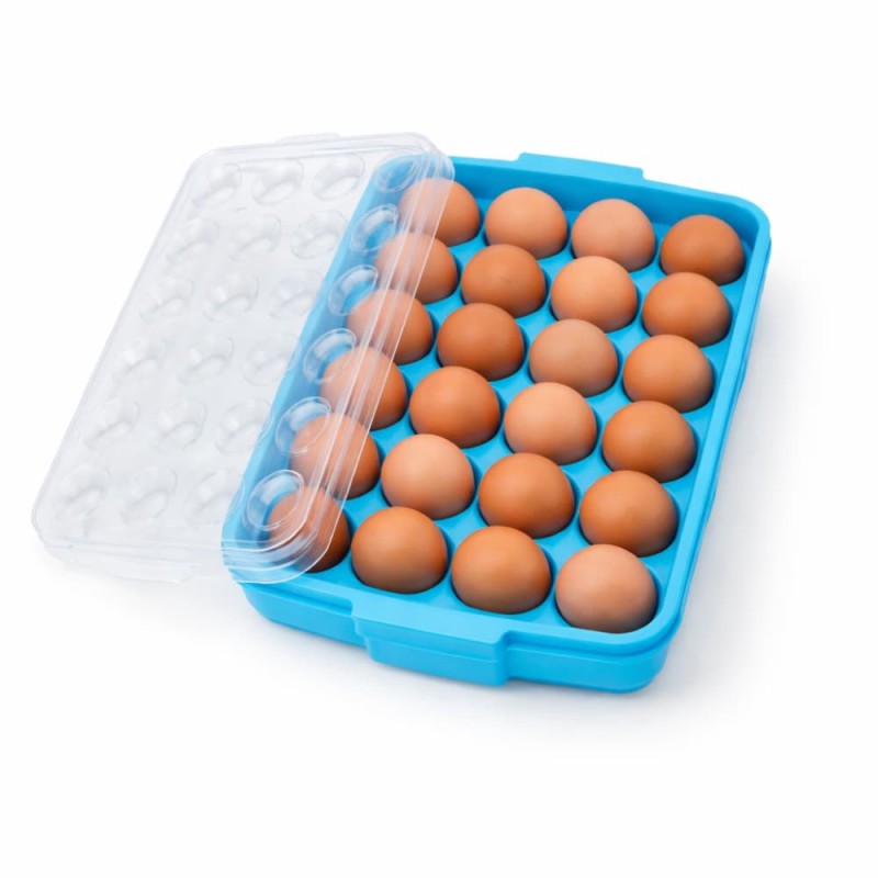 BP Plastic Egg Tray Large – 24 Grid Refrigerator Storage Box