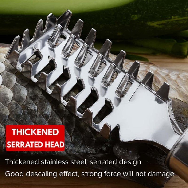 Stainless Steel Fish Scaler – Easy Skin & Scale Remover Tool