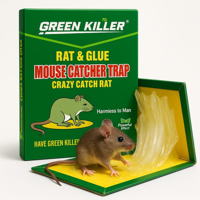 China Rat and Glue Mouse Catcher Trap Rat Killer Crazy Catch Rat